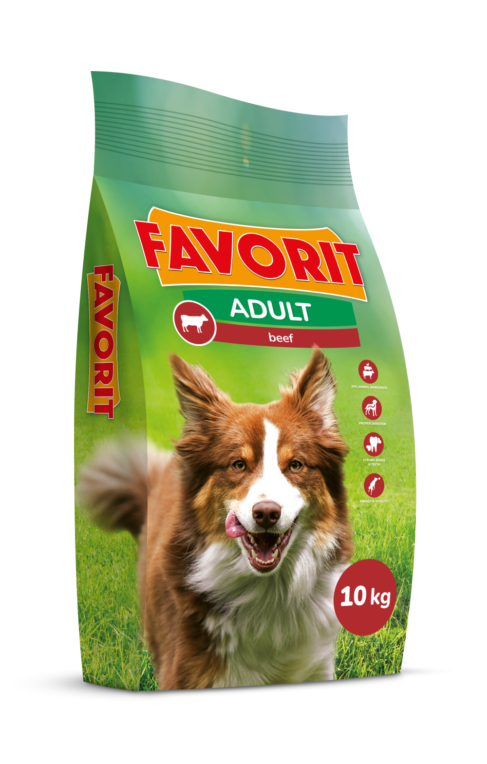 Karma dla psa wołowina 10 kg Favorit 